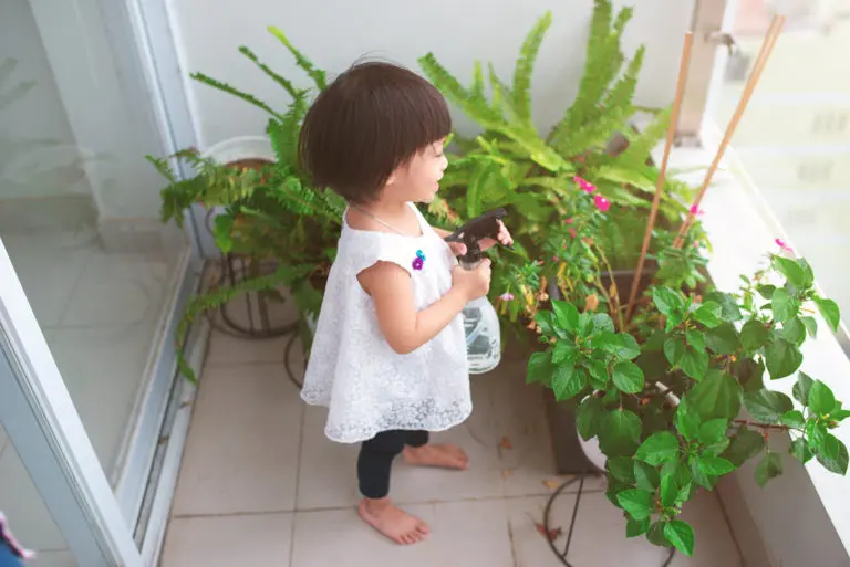 Residential House Plant Care Southern California Inside Plants