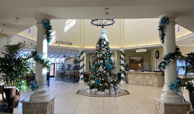 Holiday Decoration Services Colony