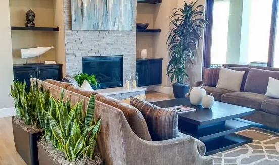 Residential Interior Plant Design Indian Wells CA