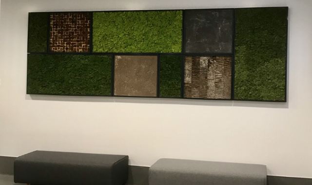 Office Moss Walls