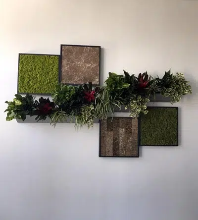 Riverside County Commercial Indoor Plant Service Moss Walls and Plant Walls Reduce Noise