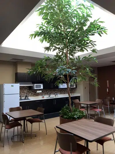 San Bernardino County Lobby with Plants provided by a Commercial Indoor Plant Service