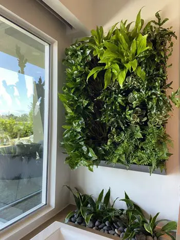 Plant Wall in Home