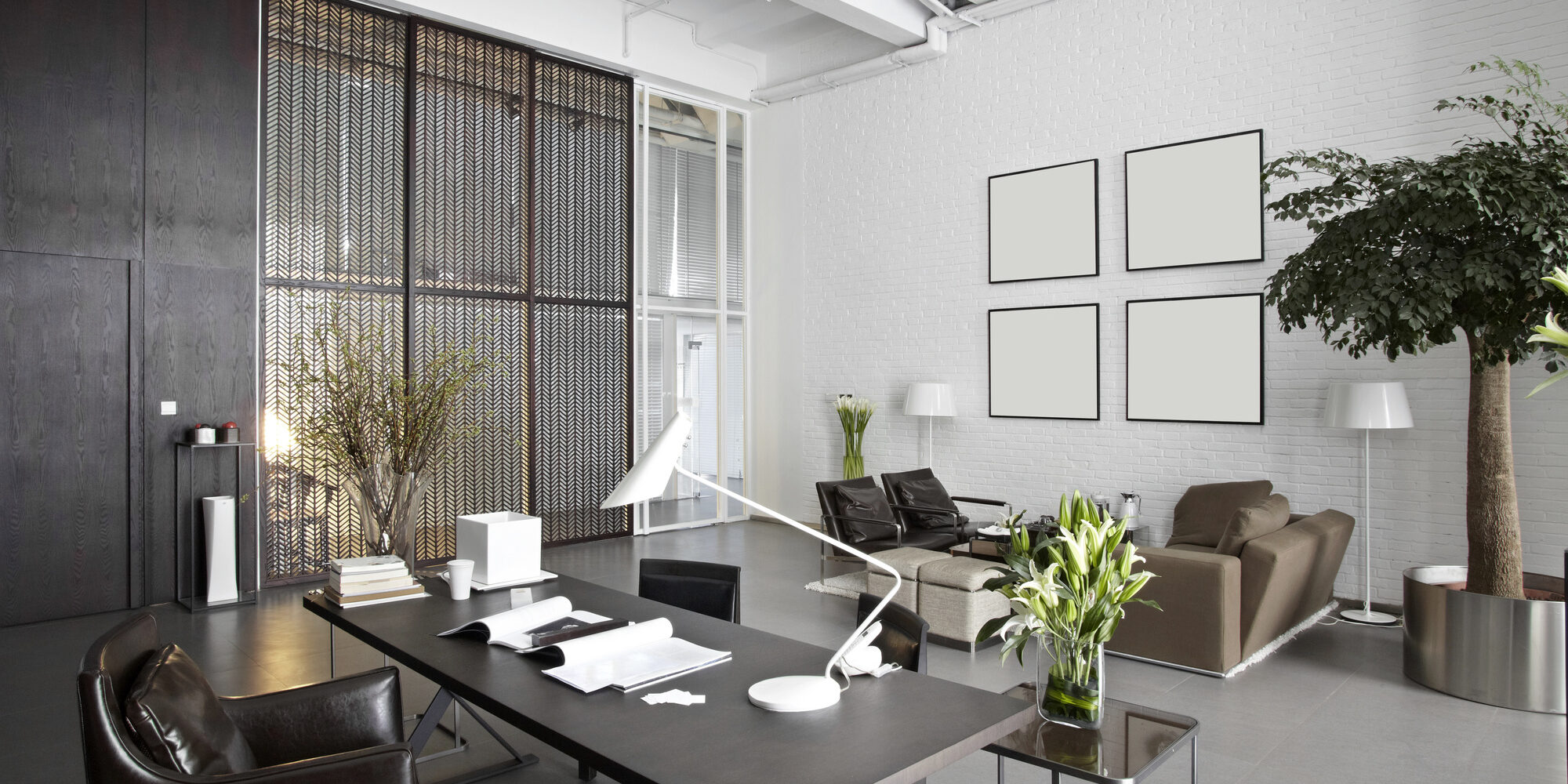 benefits of indoor plants Benefits of Indoor Plants