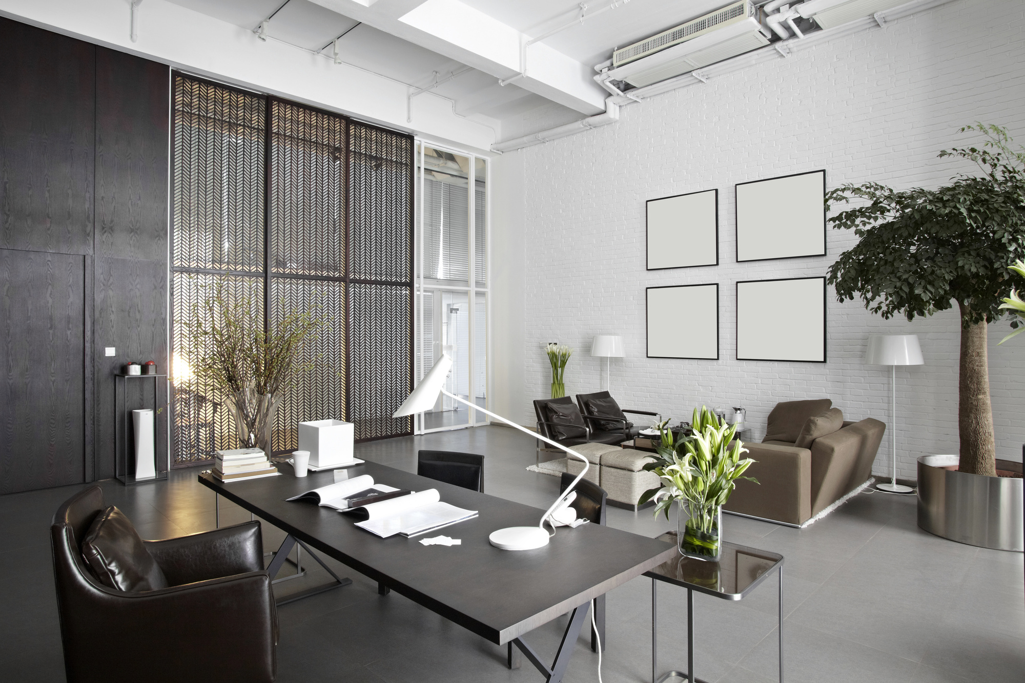 benefits of indoor plants Benefits of Indoor Plants