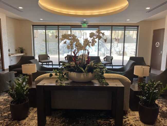 Inside Plants Inside Plants - The benefits of Interior Plants