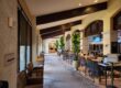 Inside Plants - The benefits of Interior Plants