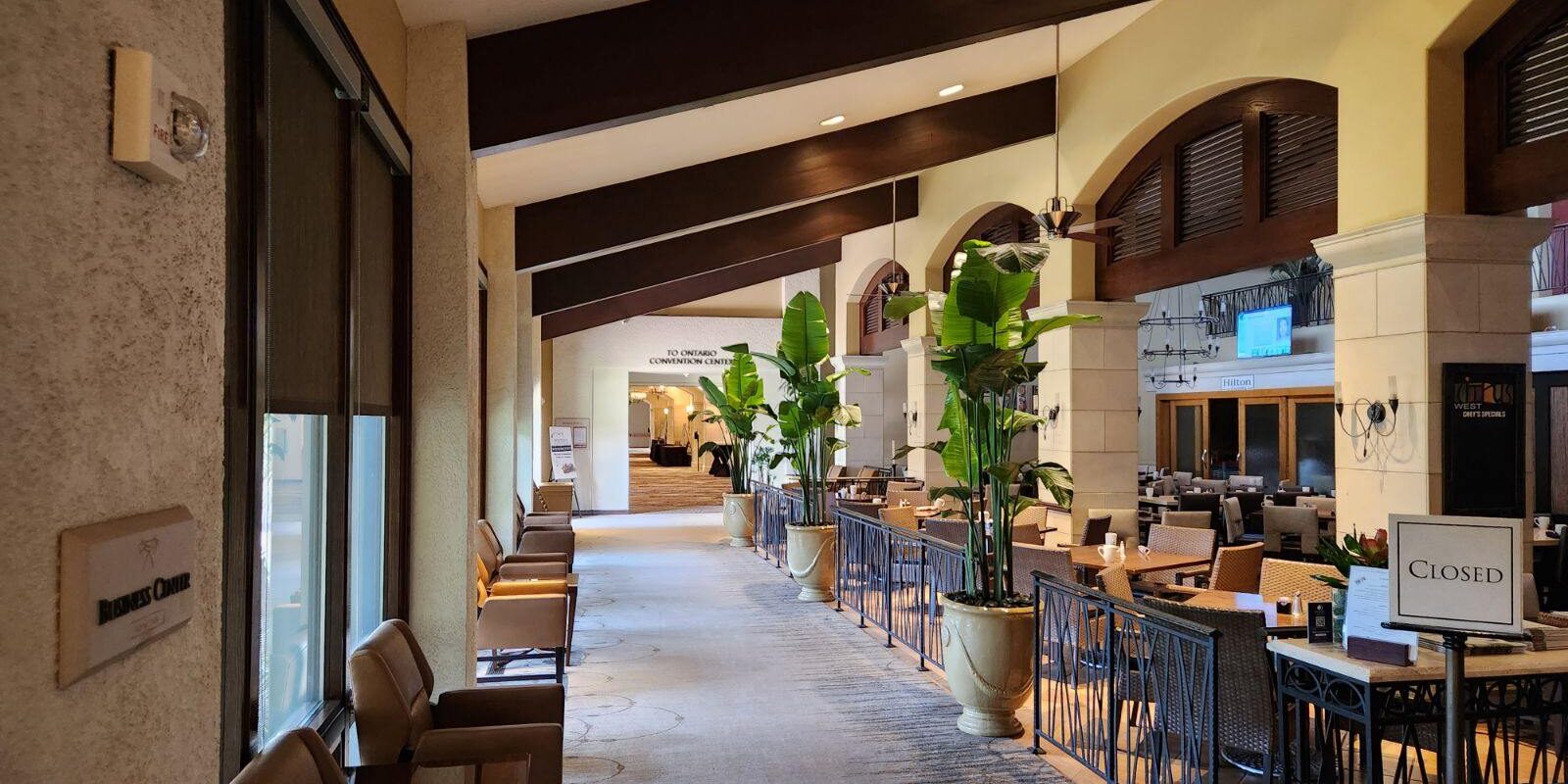 Inside Plants - The benefits of Interior Plants