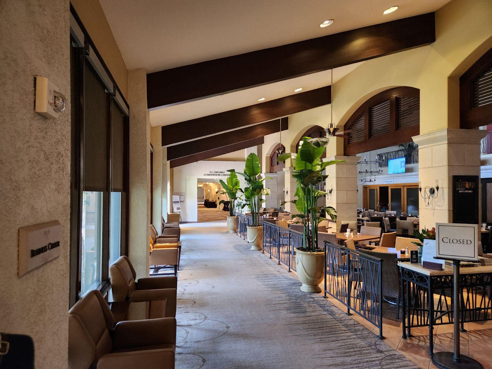 Inside Plants - The benefits of Interior Plants