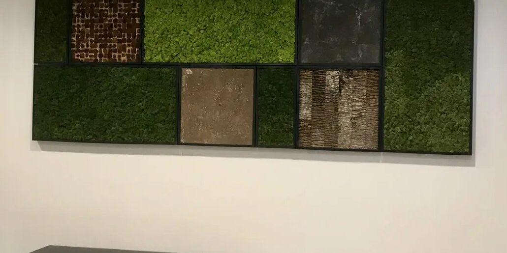 Moss Wall Moss Wall