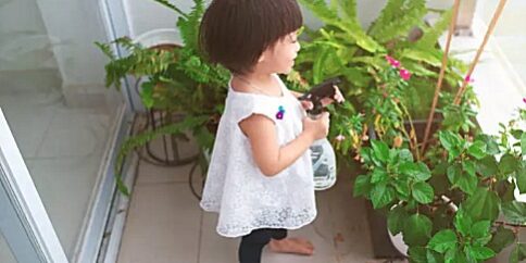 inside-residential plant services