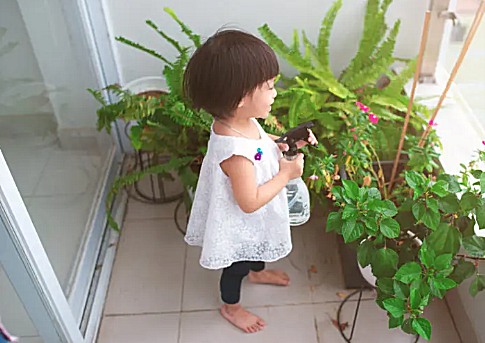 inside-residential plant services